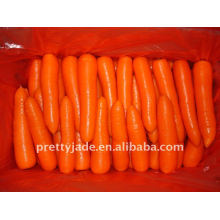 Chinoise de bonne qualité carotte